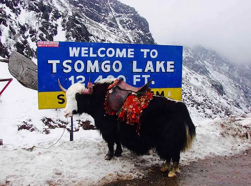 Snowfall at Tsongmo Lake